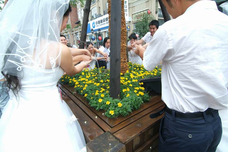 �������